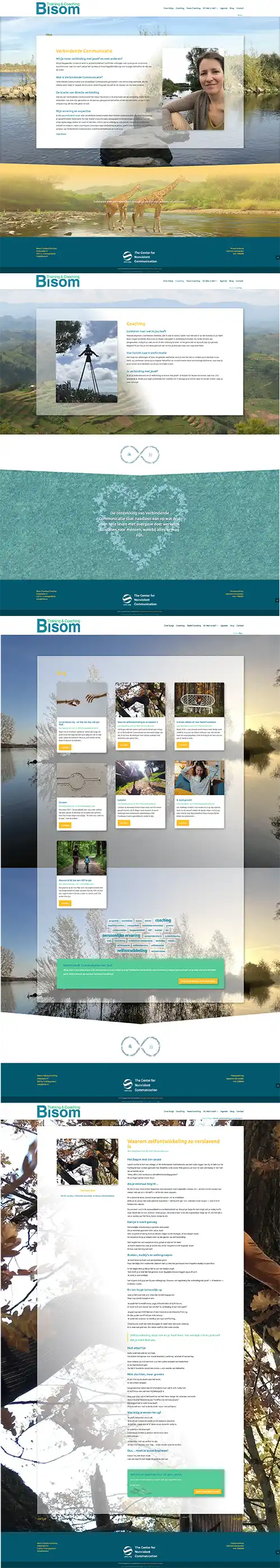 Schermafbeelding van de website Bisom